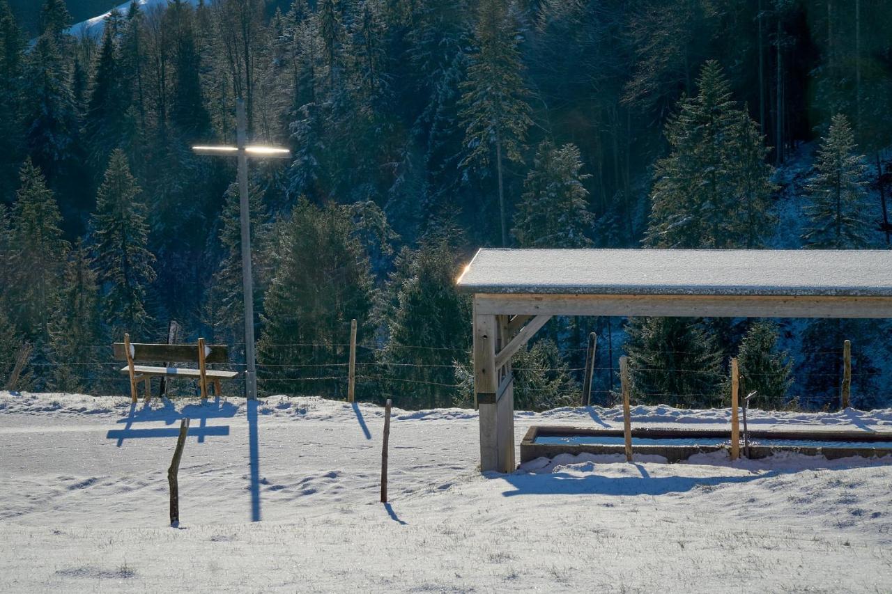 Unser Vorsaess - Geisskopf ชวาร์สเซนแบร์ก อิม เบรเกนซ์แอร์วัลด์ ภายนอก รูปภาพ